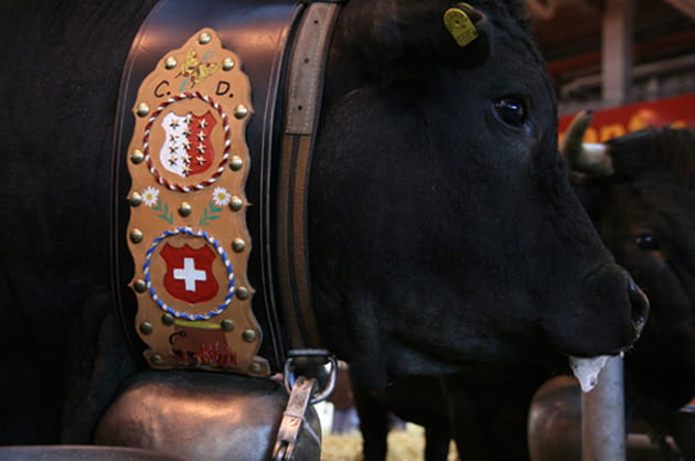 La boîte à meeeeeeeuuhh