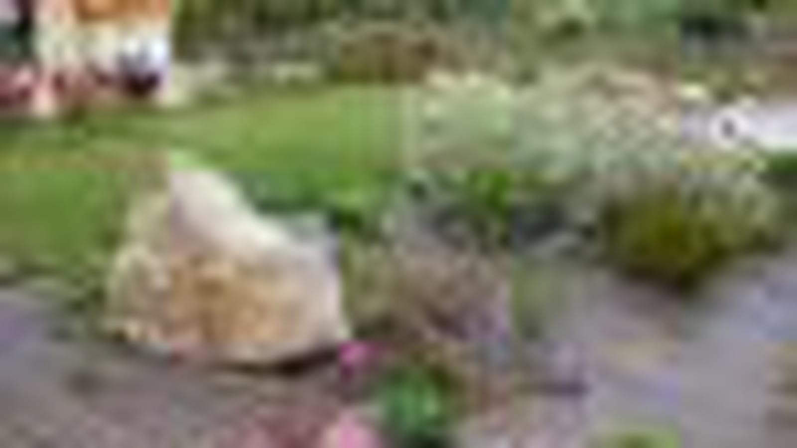 Parterre