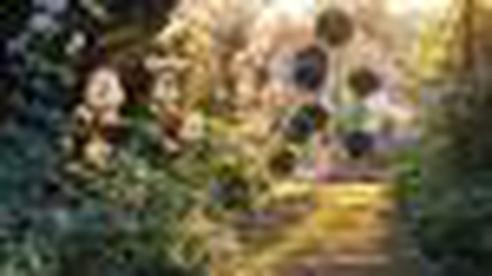 Accès au jardin